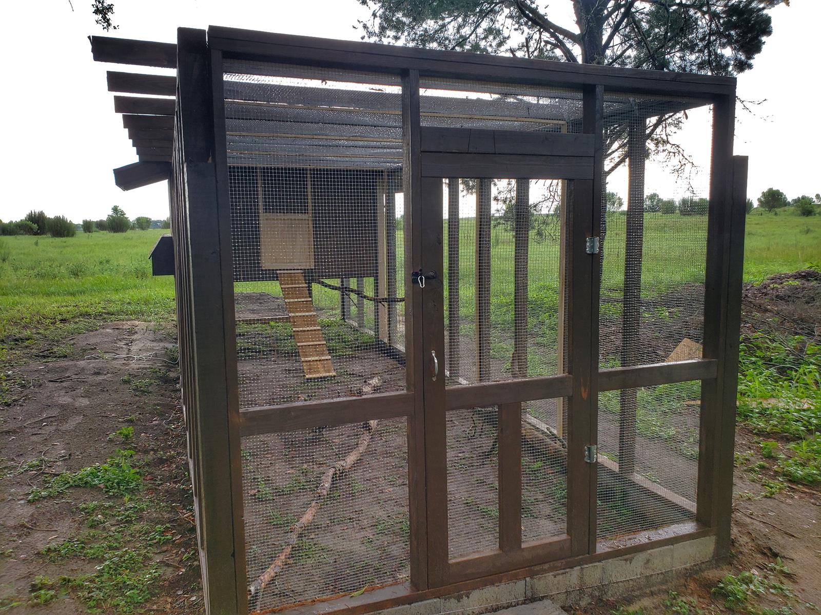 Chicken Coops that are Predator Proof